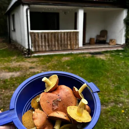 Holiday home Basia